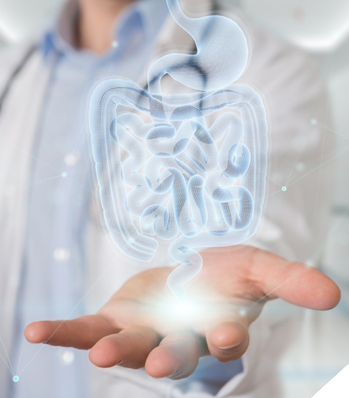 Gastroenterologist on blurred background using digital x-ray of human intestine holographic scan projection 3D rendering