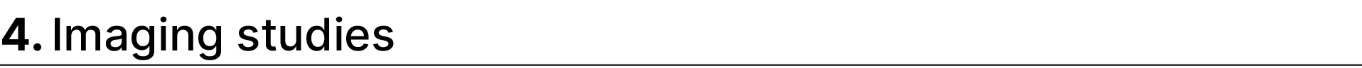 4. Imaging studies 